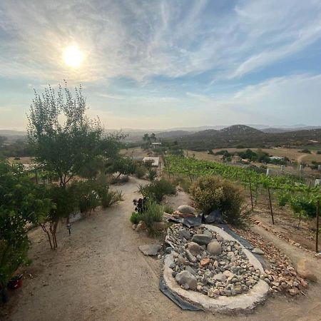 Chalet Nativo - Fabulous Terrace & Vineyard فالي دي جوادالوبي المظهر الخارجي الصورة